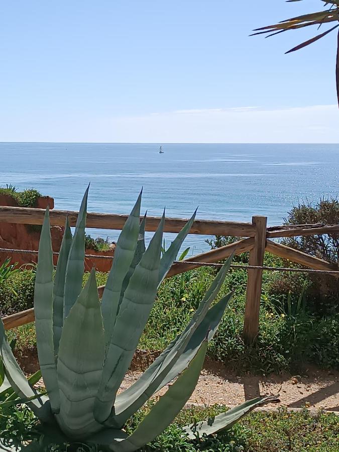 Mar A Vista Algarve Summer Portimao Bagian luar foto